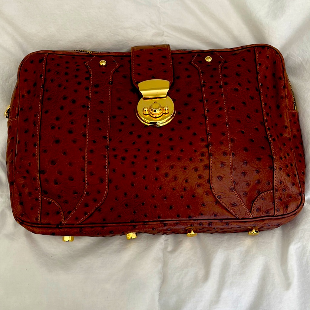 Satchel/ Computer Case